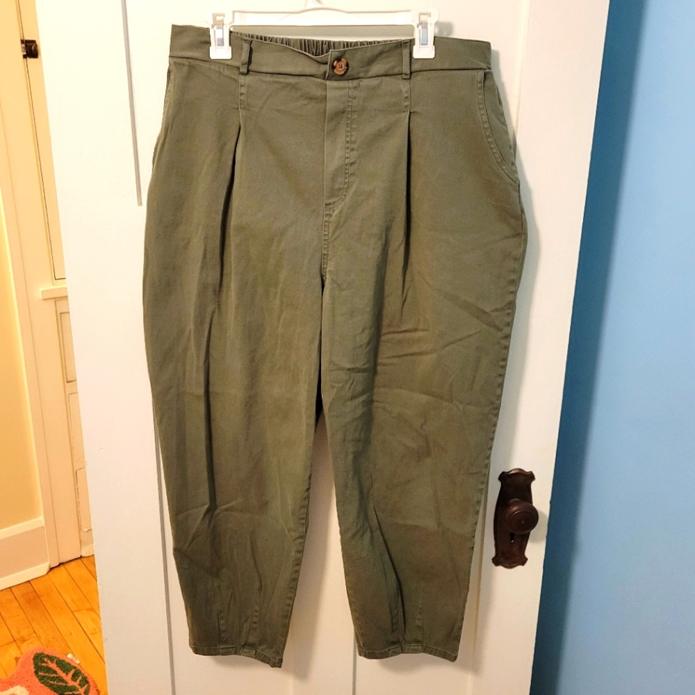 Wild Sable Green Pants